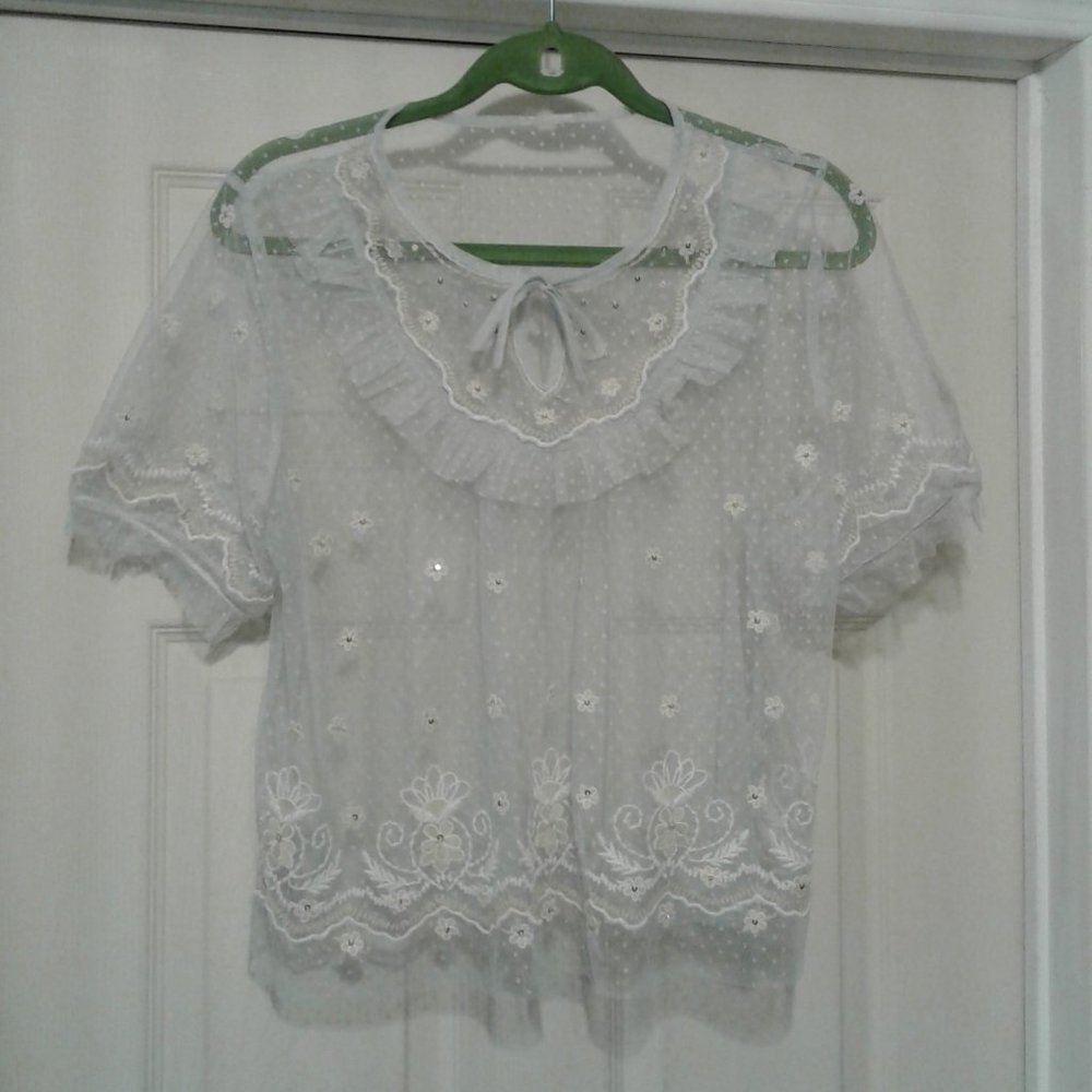 Ballerina-core baby blue mesh top with floral embroideries sea-queens and frills